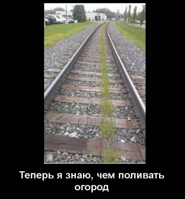 Демотиваторы (30 фото)