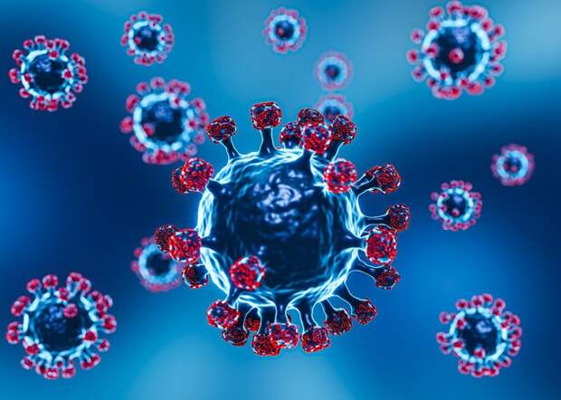 В Липецке готовятся к приему первых больных новым штаммом коронавируса «Флирт»