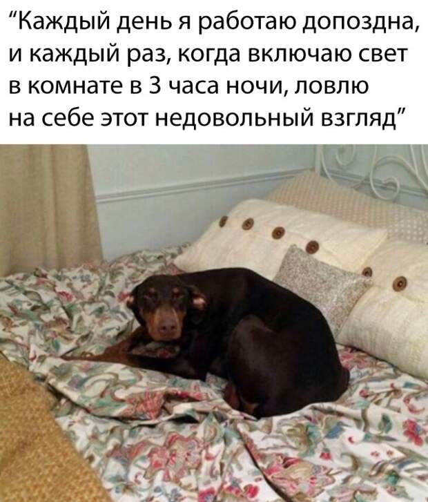 Веселые фотографии утро 20 марта