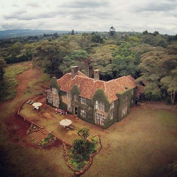 Завтрак с жирафами в необычном отеле Giraffe Manor, Кения. Фото