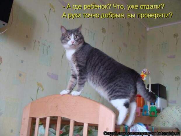 Котоматрицы (картинки с надписями)