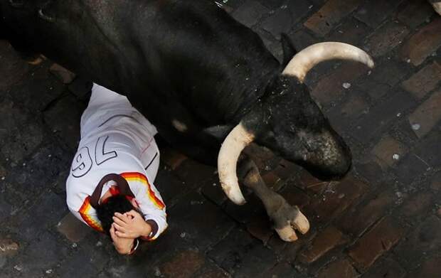 В Испании сбежавший с представления бык ранил 11 человек