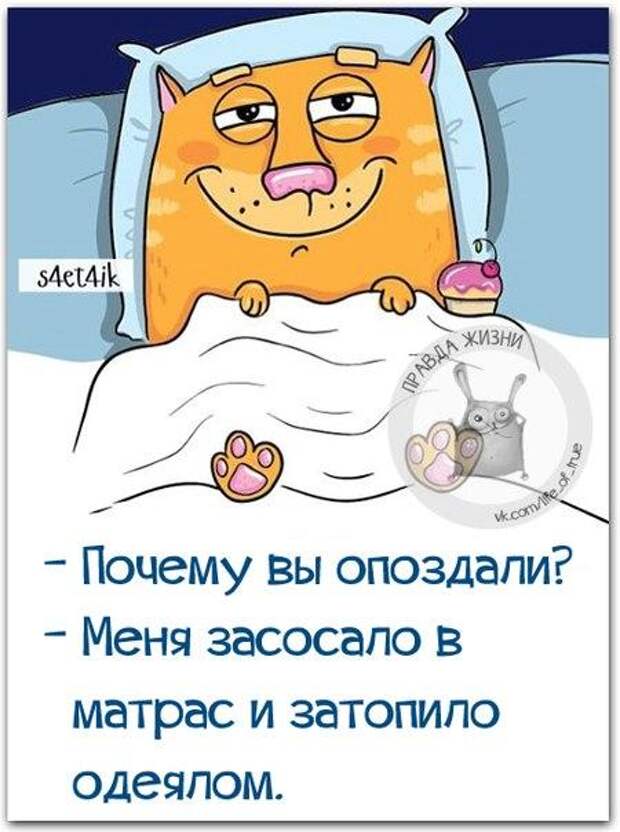 Смешная правда жизни, рассмешит вас
