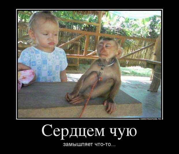 Демотиваторы демотиваторы