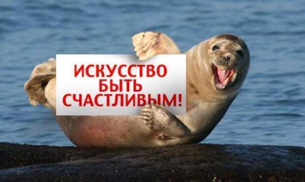 http://garmonia-finplus.com/images/LWI1YjMtO.jpg