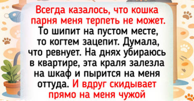 18 животных, которые проявили чудеса смекалки и перехитрили своих хозяев