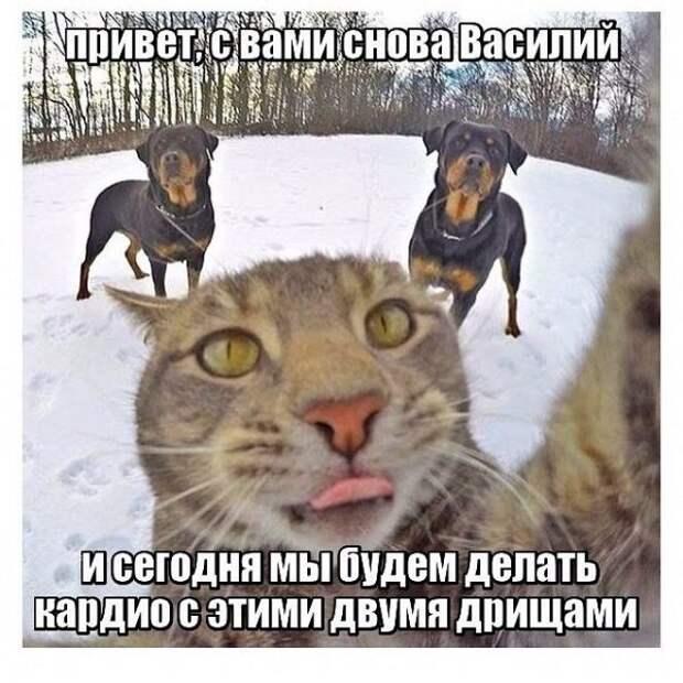 21 пример верной мотивации