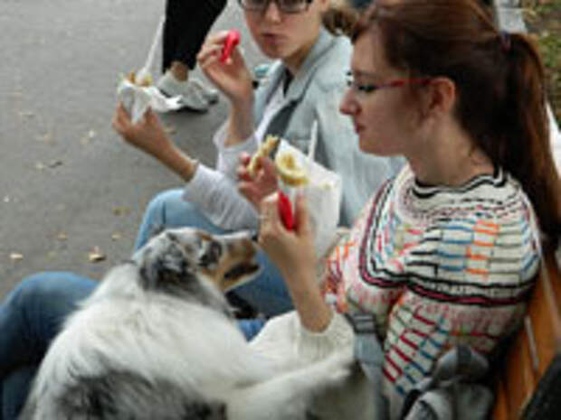 Москва, Парк Горького