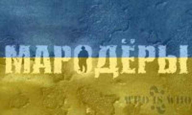 Мародёры снимают одежду с трупов. Видео Мародёры снимают одежду с трупов. Видео