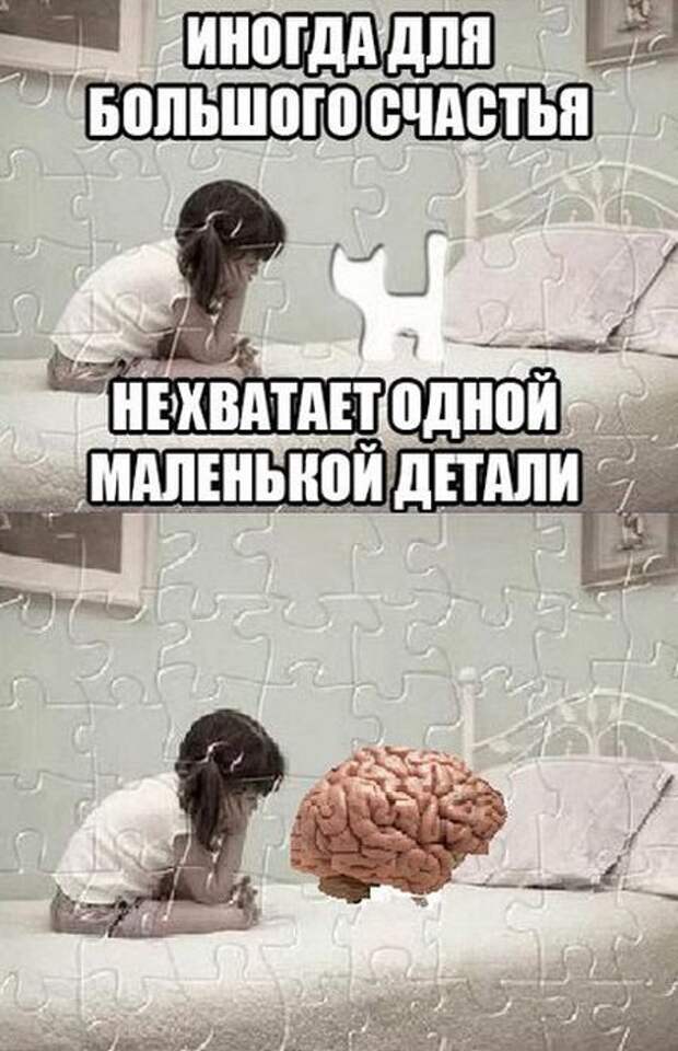 Прикольные картинки (87 фото)