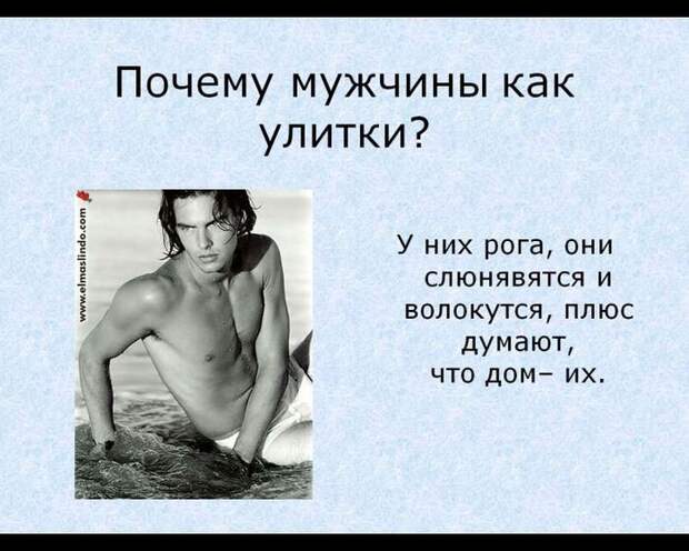 Женщины о мужчинах