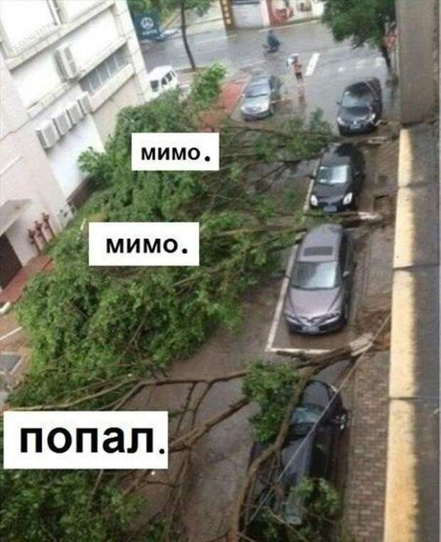 Приколы дня. Здорово!