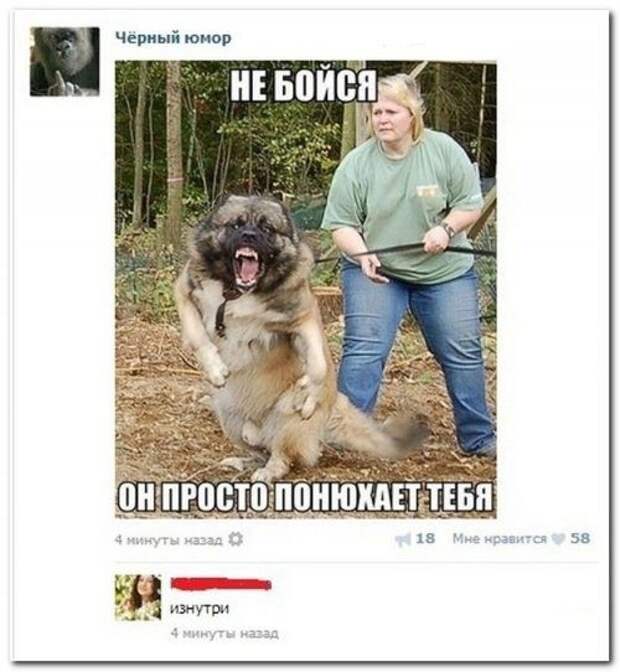 Юмор из соцсетей