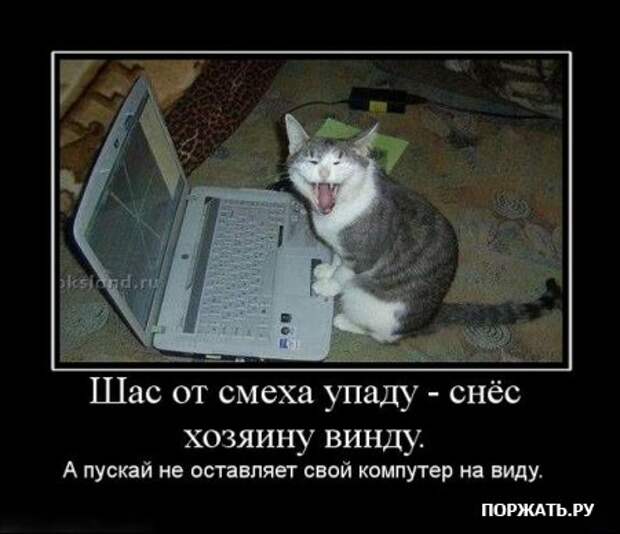 Демотиваторы и розыгрыш.