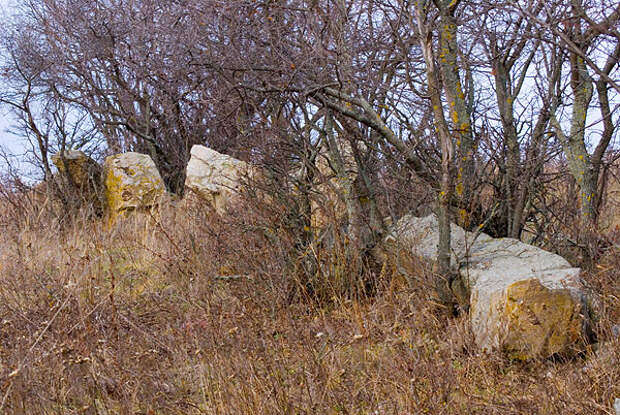 _DSC5389