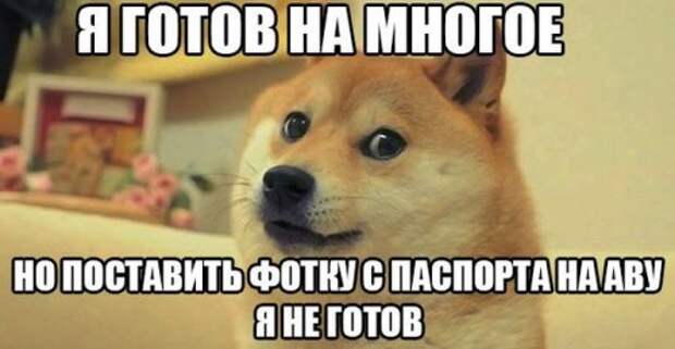 Смешные и классные картинки (47 шт)