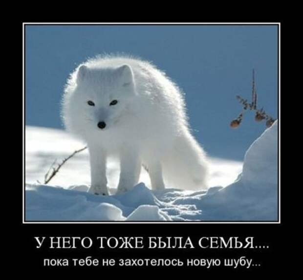 Демотиваторы одиночество жизни и любви..