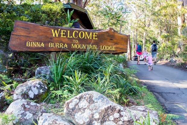 Binna Burra Mountain Lodge, Lamington National Park, Gold Coast Hinterland, Australia