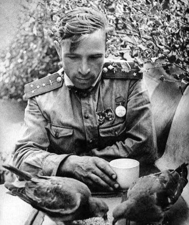 Главные фотографии Главные фотографии