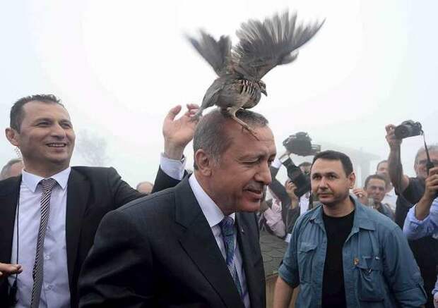 Эрдоган всех достал
