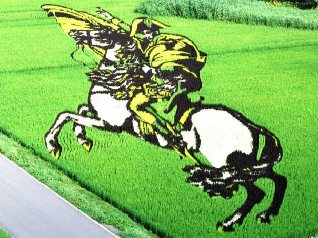these-rice-fields-in-japan-look-like-ordinary-rice-fields-but-take-a-look-what-happens-next-artnaz-com-9