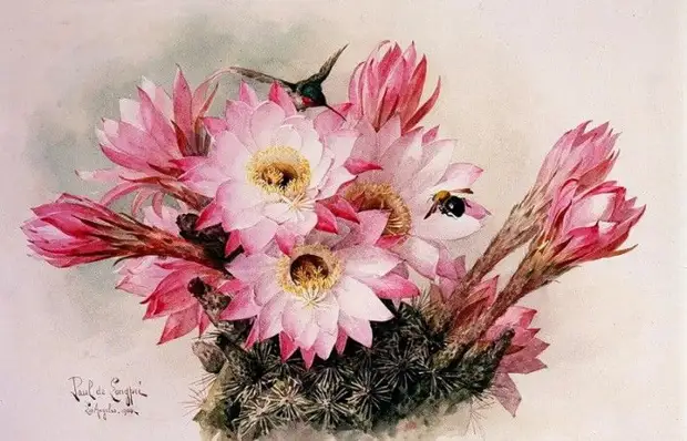 Paul De Longpre     