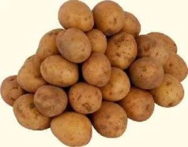 самые вкусные сорта картофеля для Подмосковья