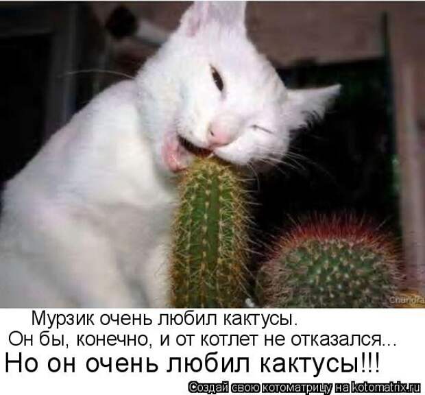 Мысли вслух :)