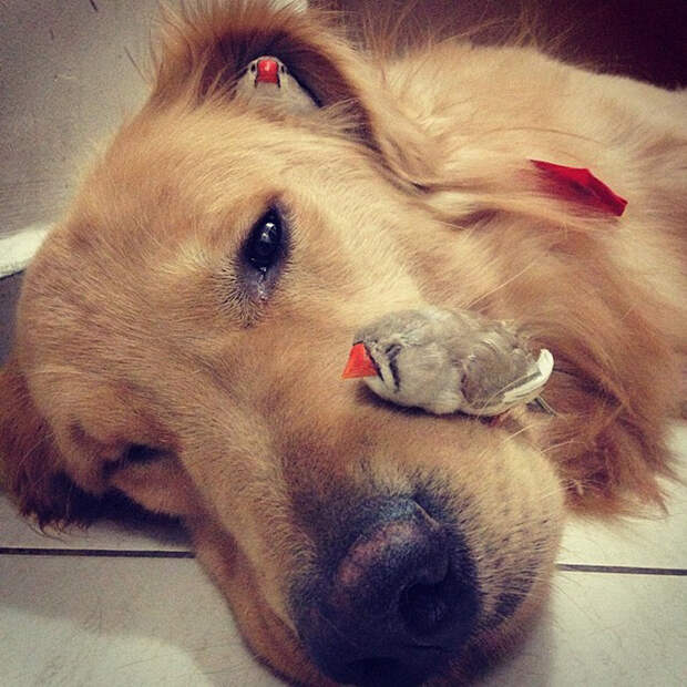 instagram.com