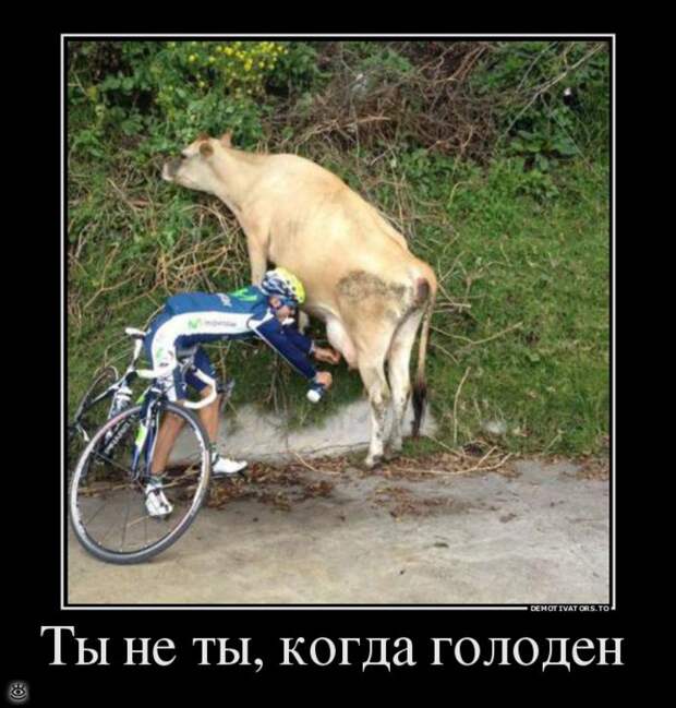 Безвозмездные демотиваторы 44