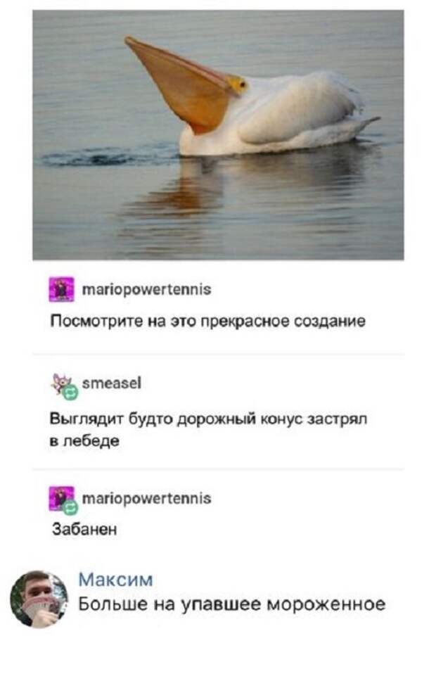 Вызывающие улыбку перлы из социальных сетей Вызывающие улыбку перлы из социальных сетей