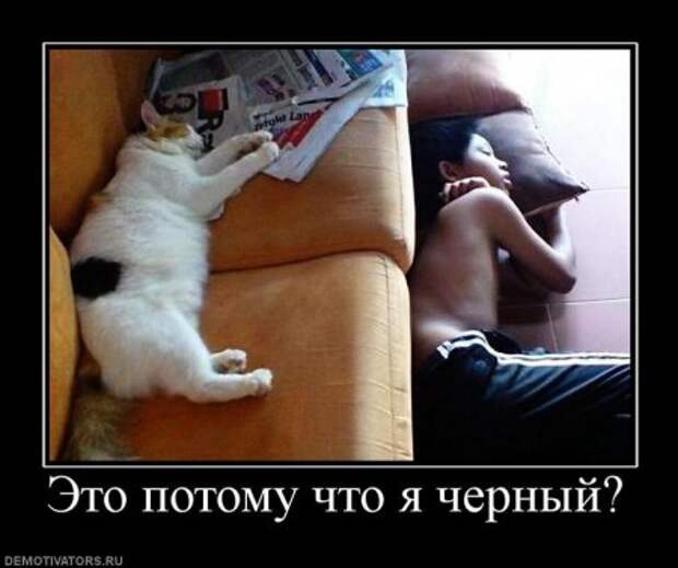 Новенькие демотиваторы с приколами тут.