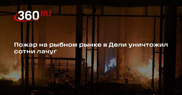 В Индии не менее 400 лачуг сгорели при пожаре у рыбного рынка в Дели