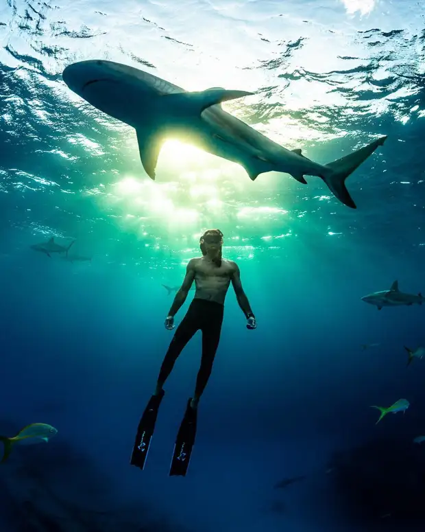 Андре Масгроув (André Musgrove) и его невероятные подводные снимки