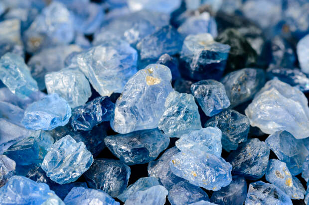 http://img.gazeta.ru/files3/519/7697519/shutterstock_200511677-pic4_zoom-1000x1000-80700.jpg