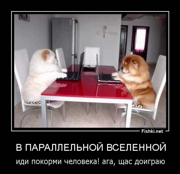Демотиваторы демотиваторы