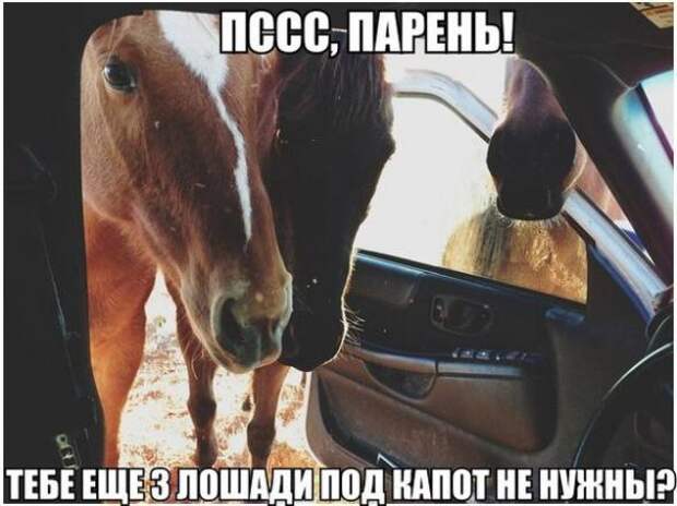 Подборка автоприколов - 17