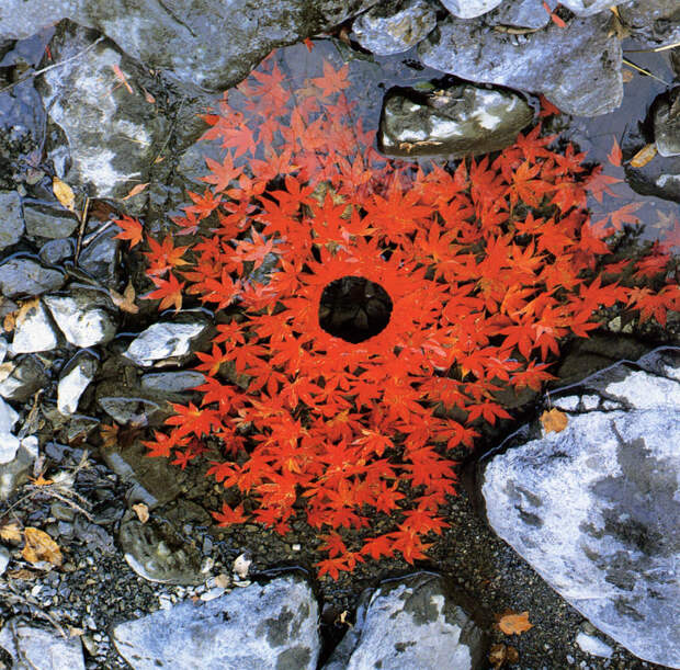 land-art-andy-goldsworthy-6