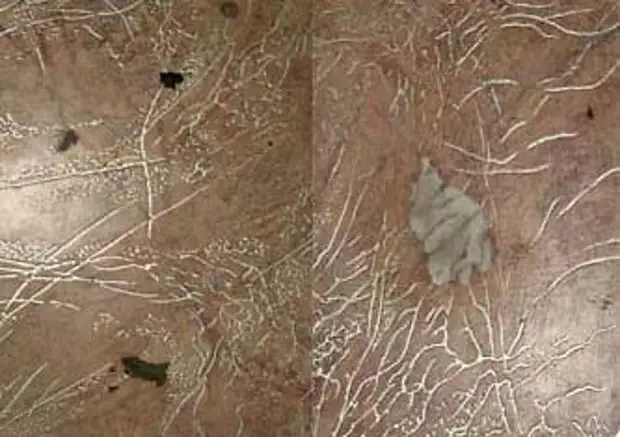 Прожженный линолеум - как исправить ситуацию - Сам себе мастер - 27 ...