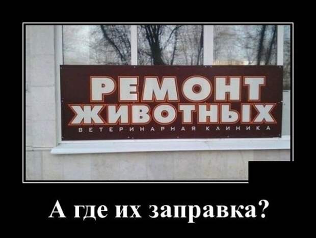 Демотиваторы (30 фото)