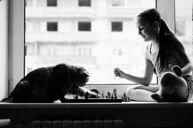 children-cat-playing-photography-8_result