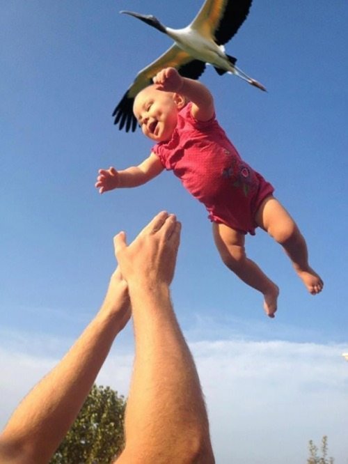 Фотографии, сделанные в нужный момент Фотографии, сделанные в нужный момент