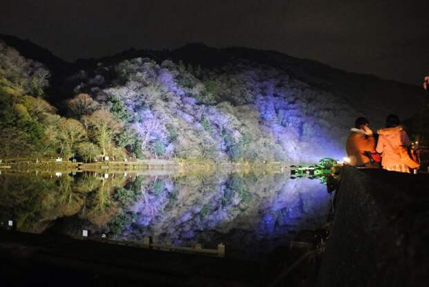 Осень в Японии 2015 2015 осень япония, алая осень японии, дегустация осени в японии, красные клены японии, момидзи, момидзи 2015, момидзи-гари, осень в японии, осень по-японски, осень-японии, тур в японию, японки, японская осень 2015