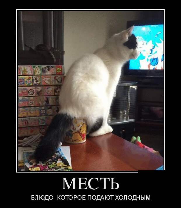Демотиваторы (30 фото)