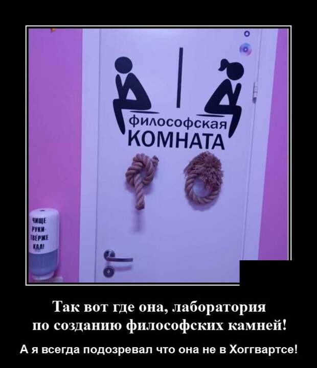 Демотиватор про туалет