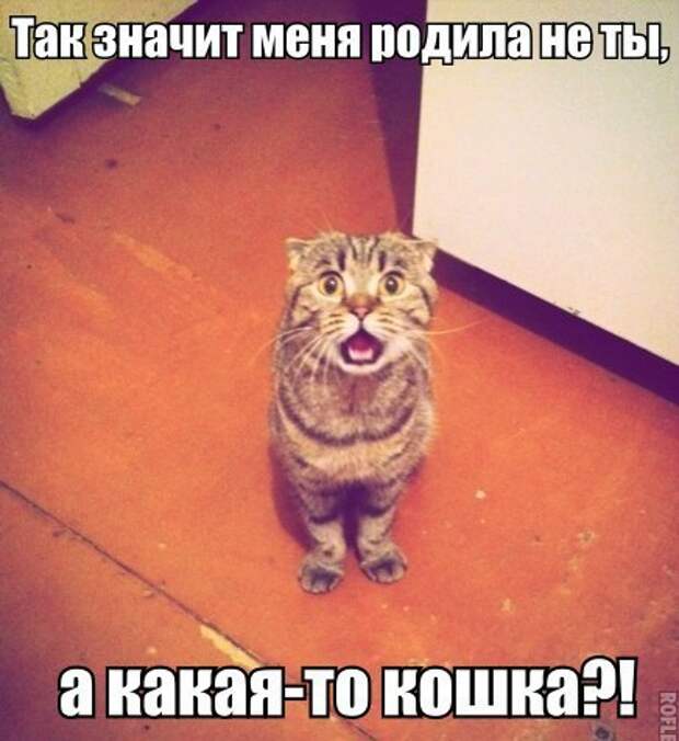 Мысли вслух Мысли вслух