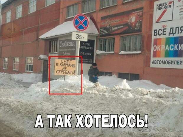 Прикольные картинки Прикольные картинки