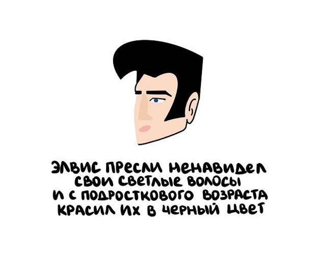 Интересные и короткие факты на все случаи жизни