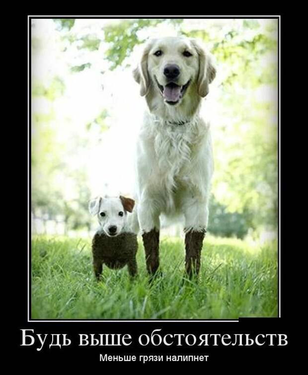 demotivatory_na_subbotu_29_foto_7.jpg