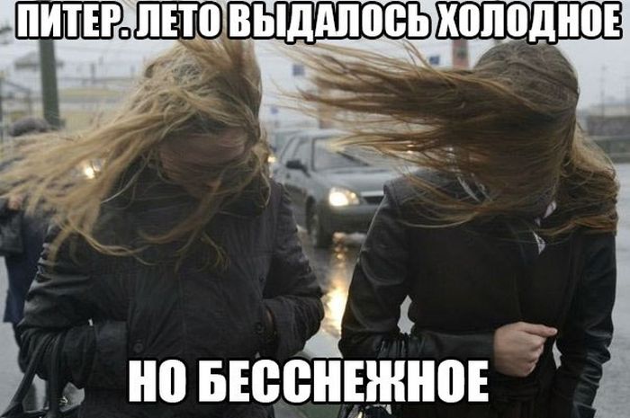 Прикольные картинки (97 фото)
